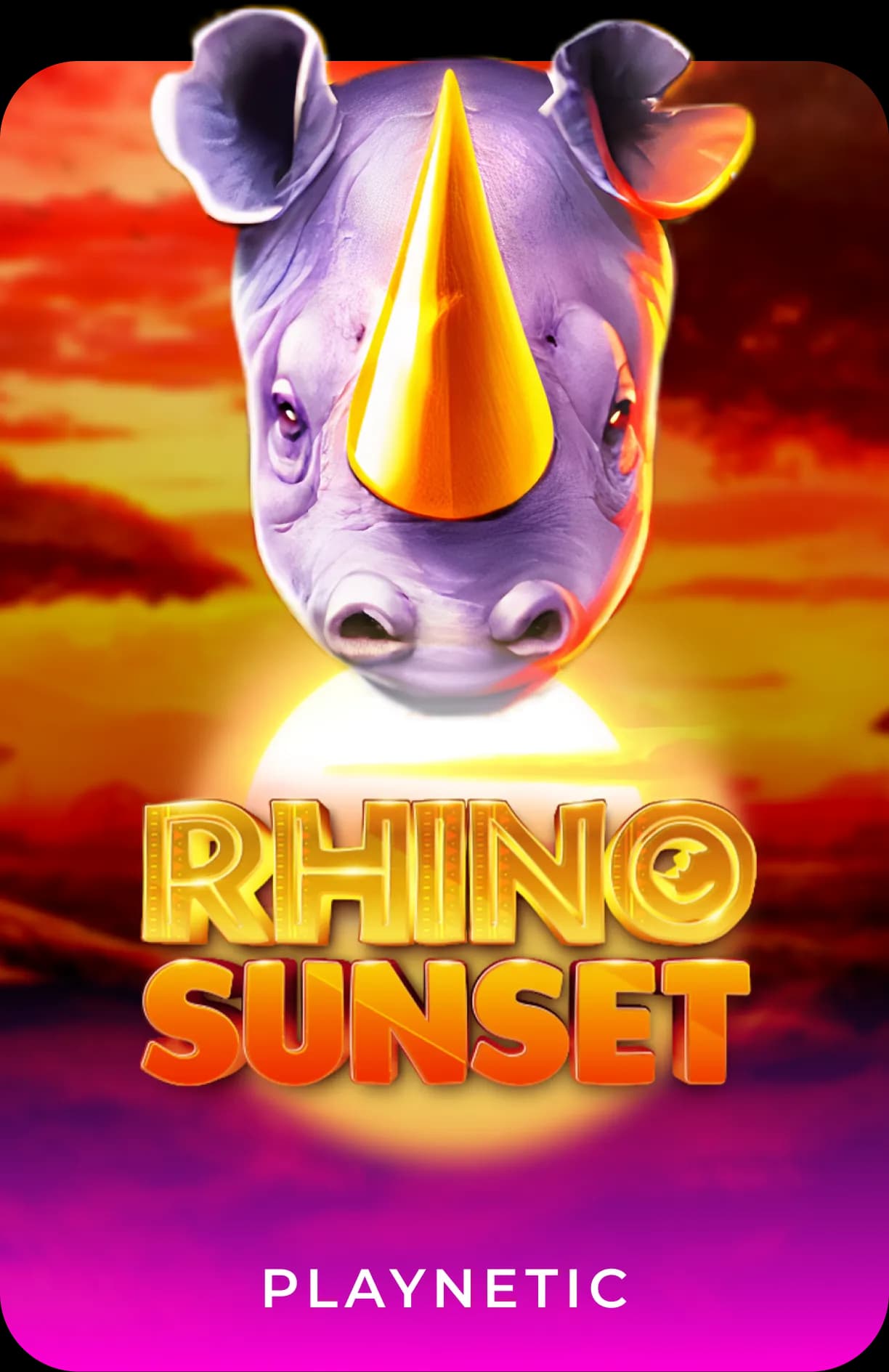 Rhino Sunset