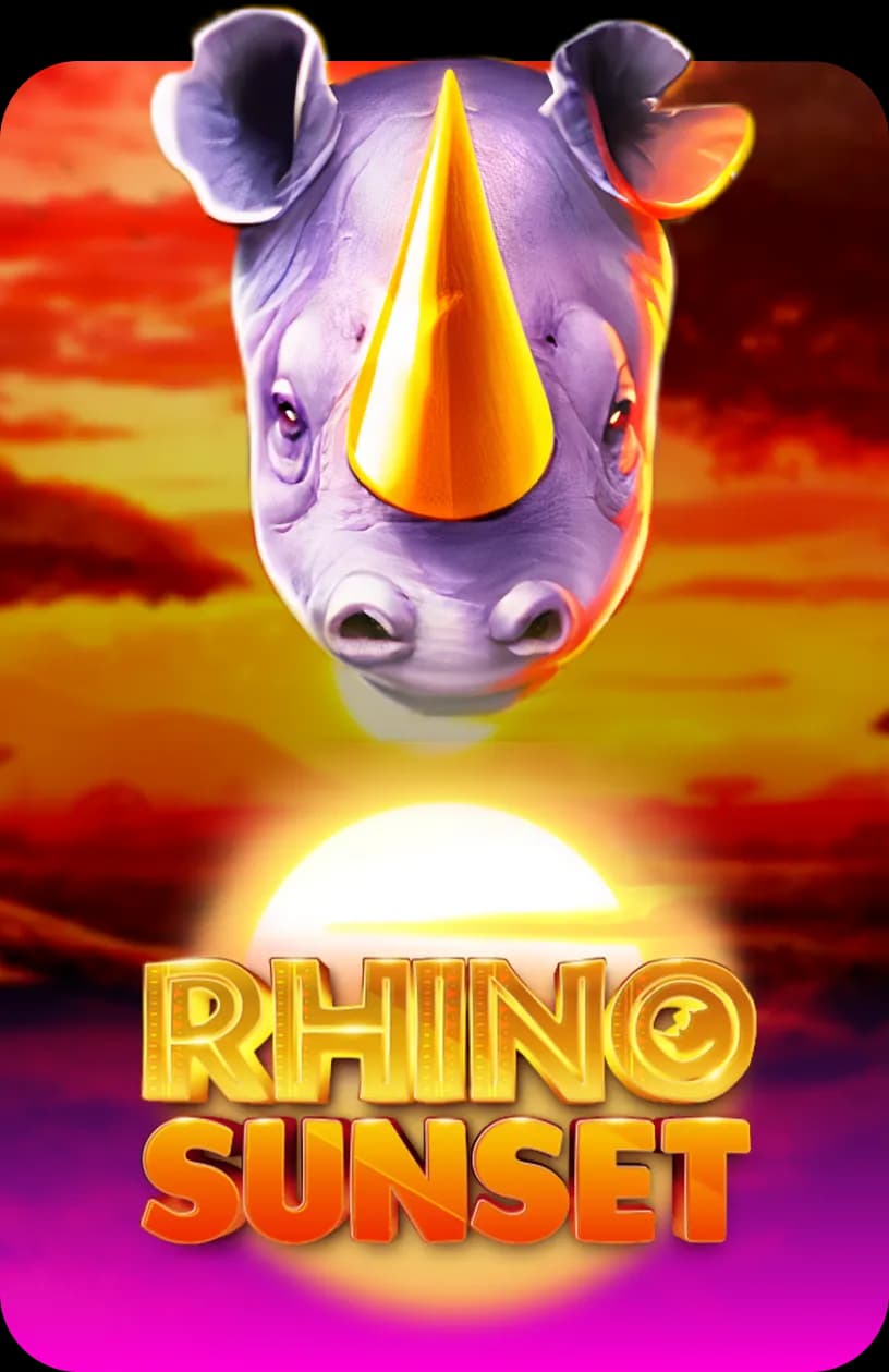 Rhino Sunset